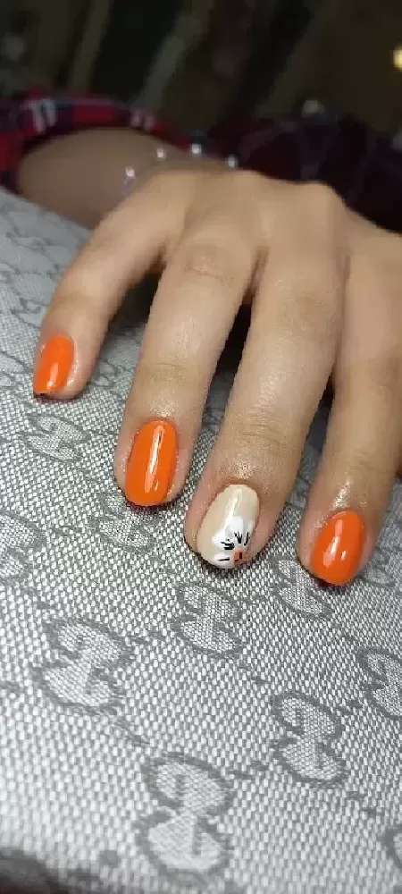 آرايشگاه چشم ارا