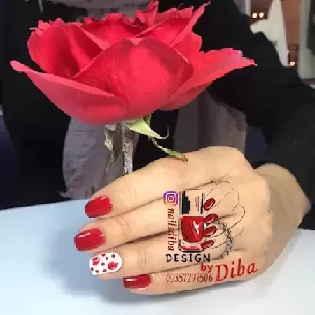 آرايشگاه مژان