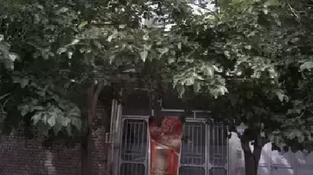 زيبايي آرا گل