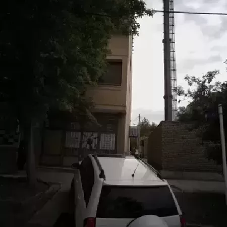 زيبايي نارسيس