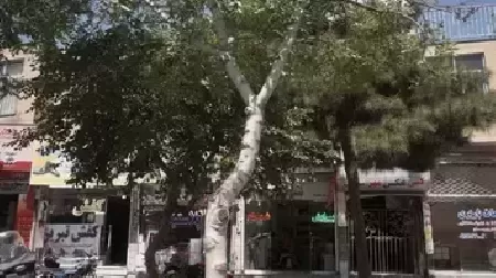 سالن آرايش شهرام