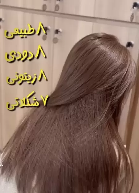 سالن زيبايي الهام مجيدي